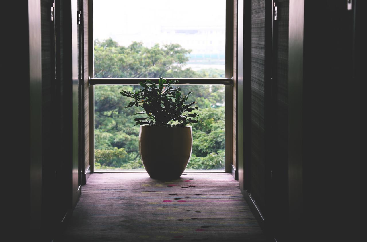 KháCh SạN Noel Dà LạT Dalat Exteriér fotografie